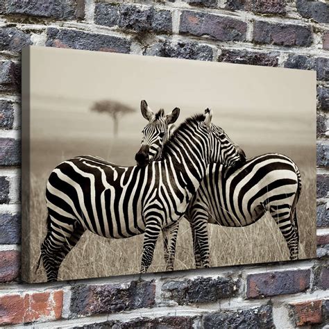 Download 183+ Zebra Print Paintings Images